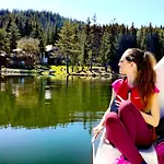 Resort Romantica Forest Dospat