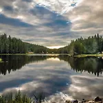 Romantica Forest Resort