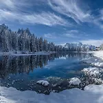 Resort Romantica Forest Dospat