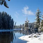Resort Romantica Forest Dospat