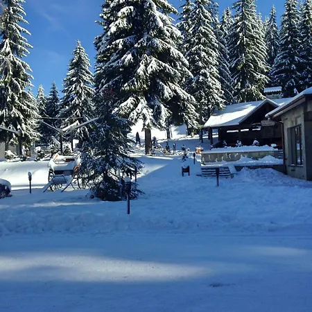 Resort Romantica Forest Dospat