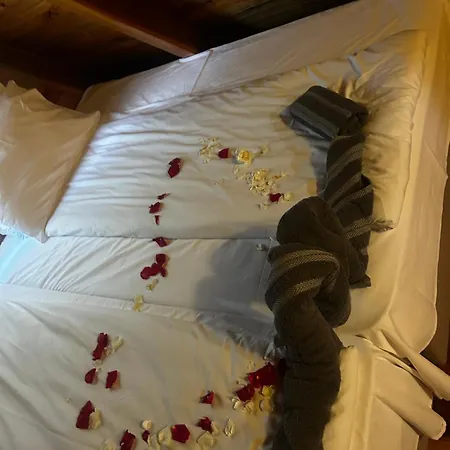 Resort Romantica Forest Dospat