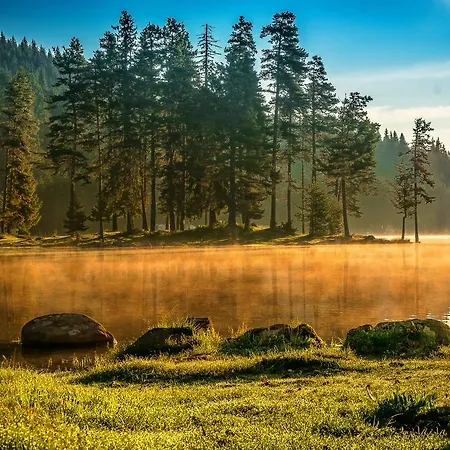 Romantica Forest Resort Dospat