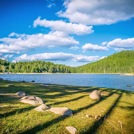 Resort Romantica Forest