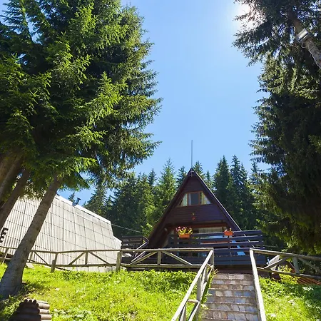 Romantica Forest Resort 3*