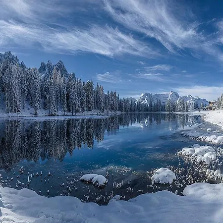 Resort Romantica Forest Dospat
