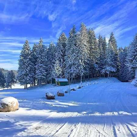 Romantica Forest Resort