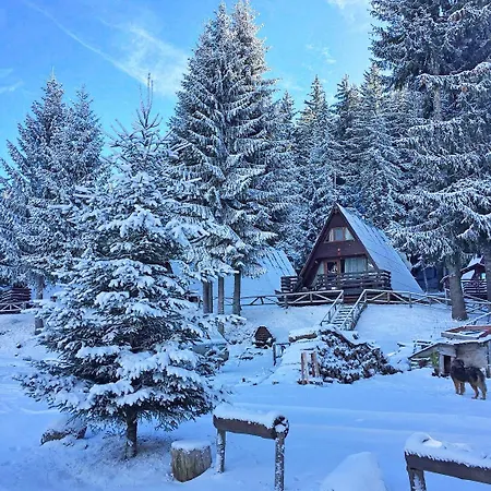 Resort Romantica Forest 3*