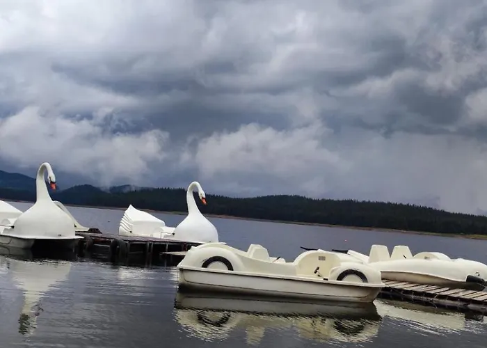 Resort Romantica Forest 3*