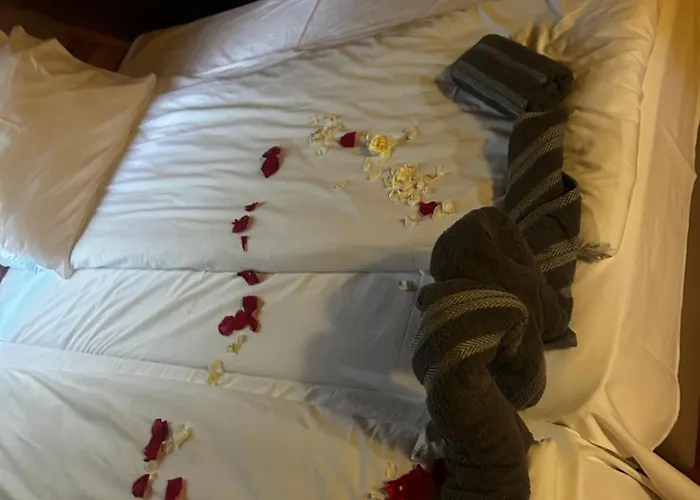 Resort Romantica Forest Dospat