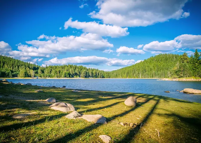 Resort Romantica Forest