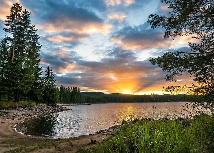 Resort Romantica Forest