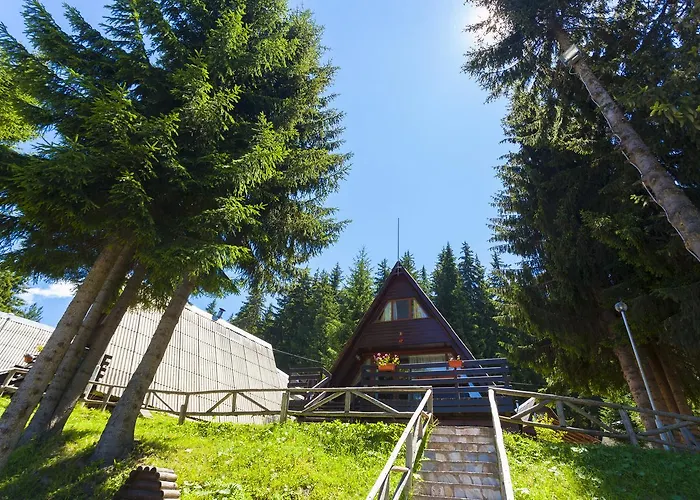 Romantica Forest 리조트 3*