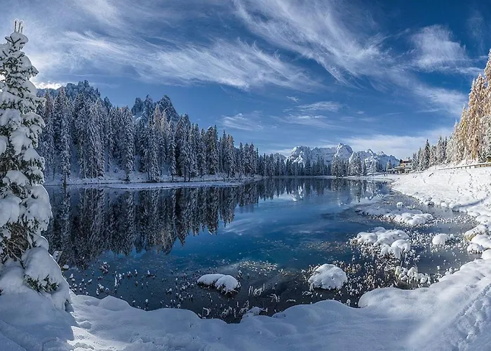 Resort Romantica Forest Dospat