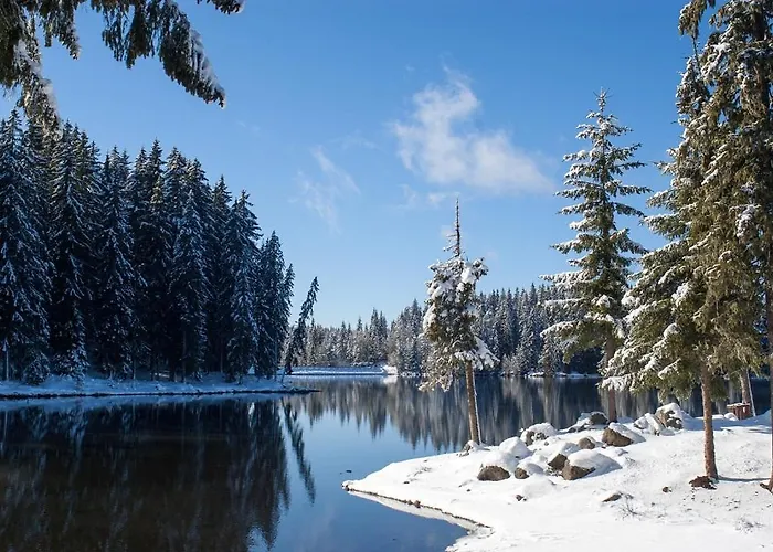 리조트 Romantica Forest 도스파트