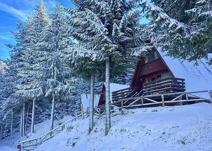 Romantica Forest Dospat