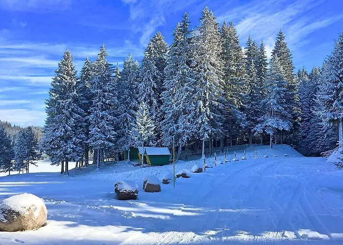 Romantica Forest Resort