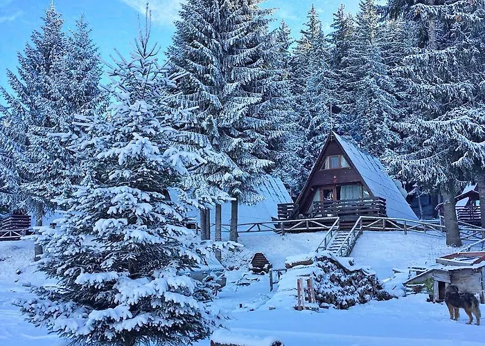 Resort Romantica Forest 3*