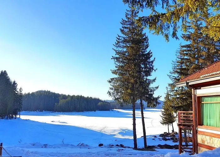 Romantica Forest 도스파트